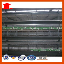 Jinfeng Hot Sell H Typ Chicken Cage System